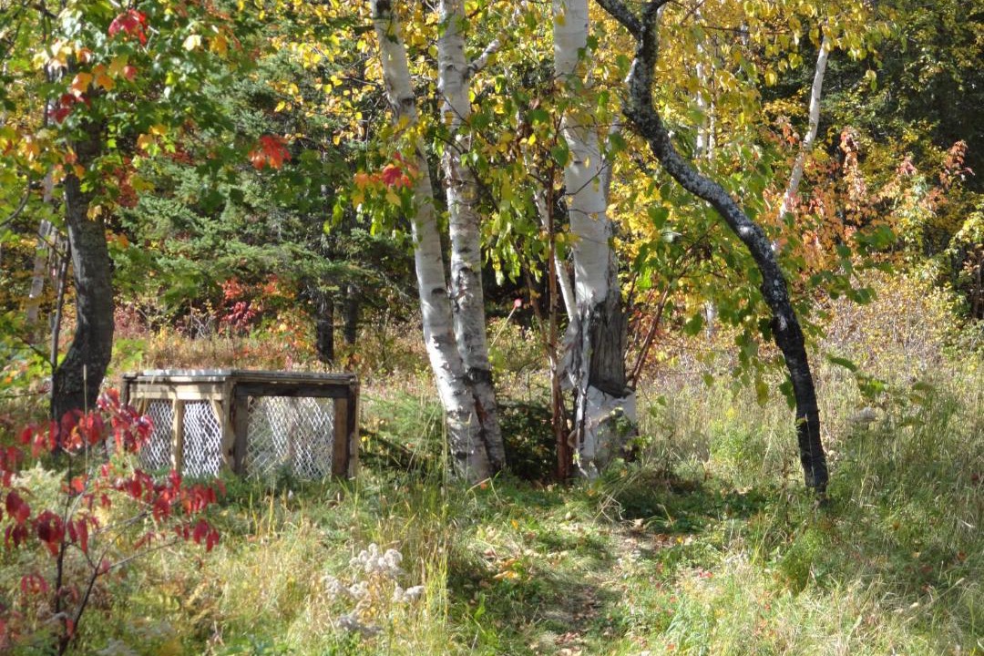 Photo of Others in Baie-St-Paul