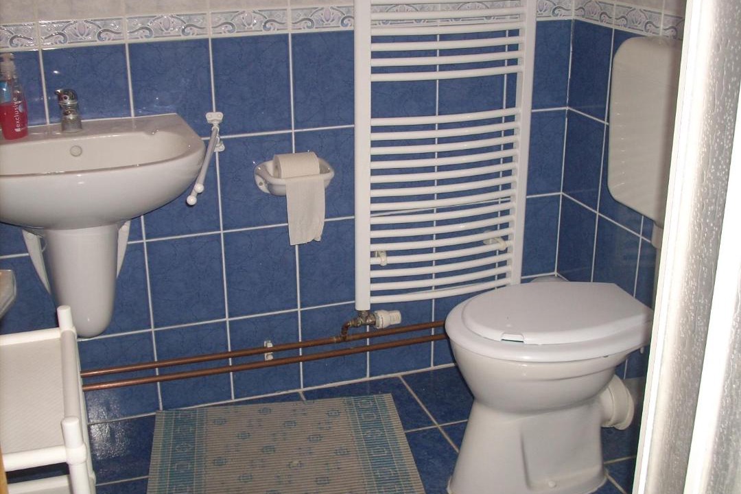 Photo of Bathroom in Abadszalok