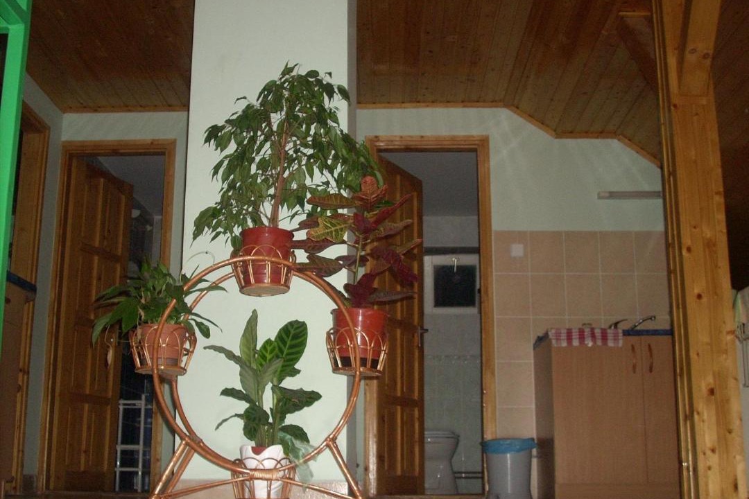 Photo of Others in Abadszalok