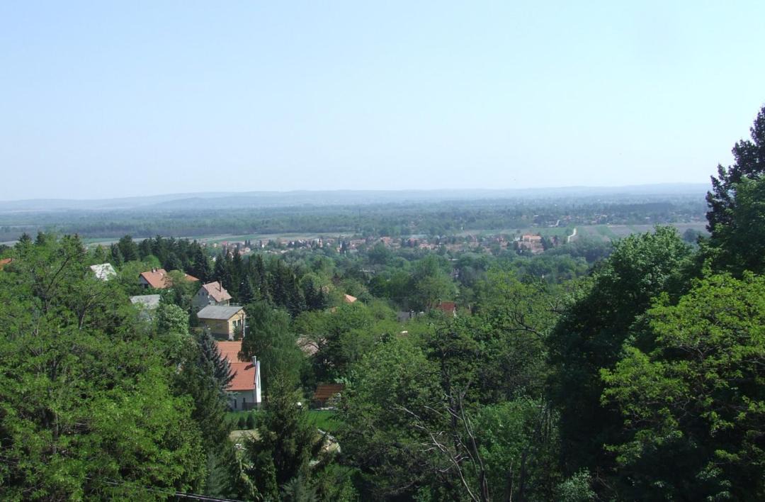 Photo of Others in Szentendrei
