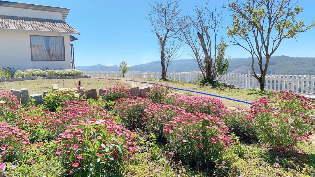 Photo of Others in Da Lat