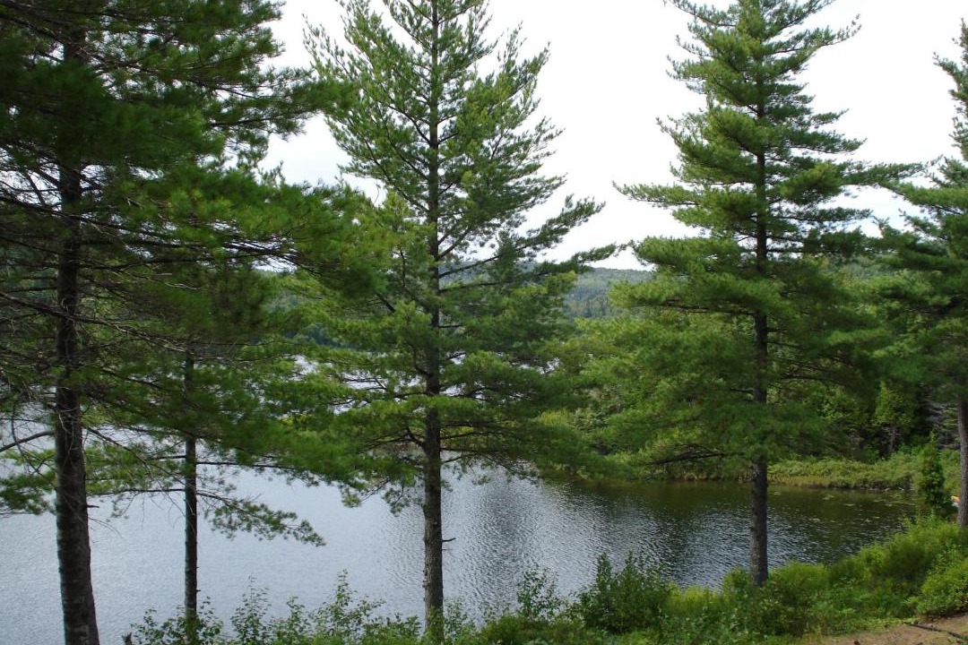 Photo of Others in Tadoussac