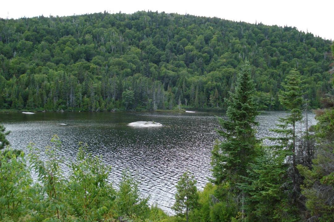 Photo of Others in Tadoussac
