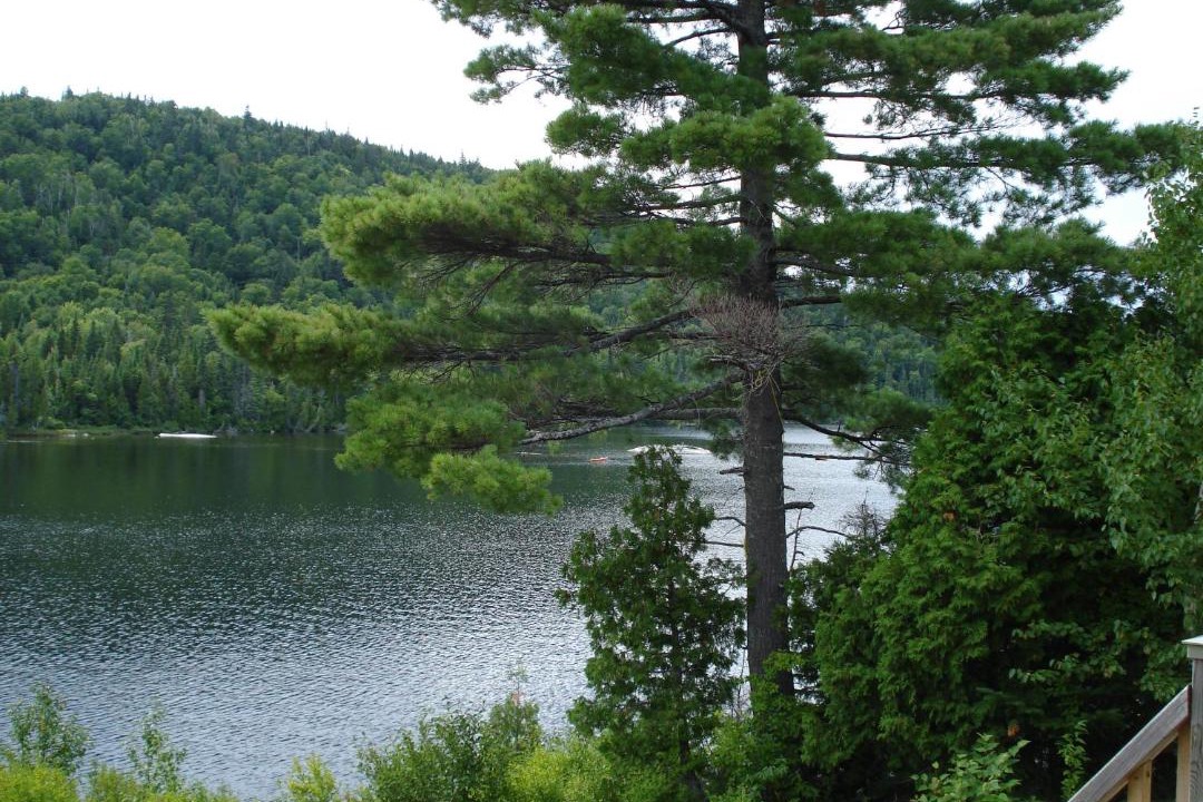Photo of Others in Tadoussac