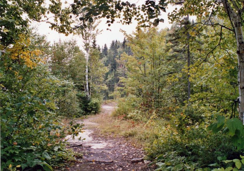 Photo of Others in Tadoussac