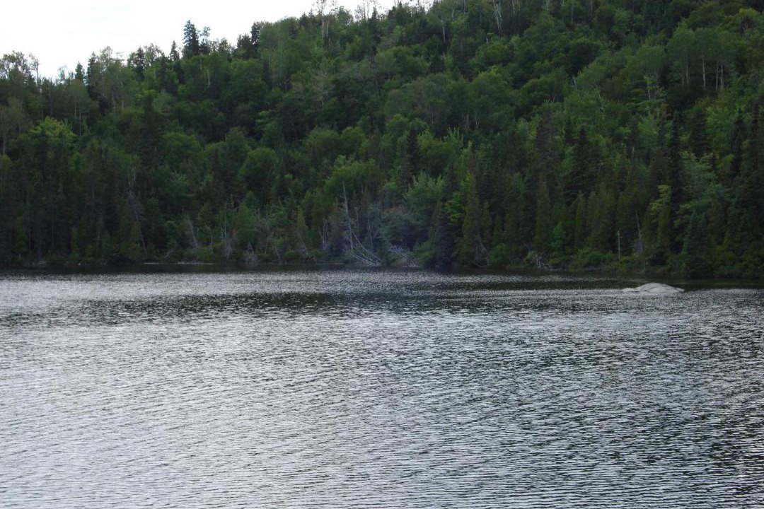 Photo of Others in Tadoussac
