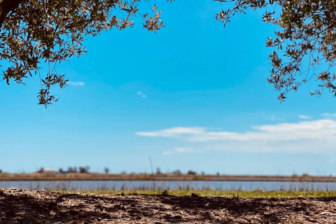 Photo of Outdoor in Amposta