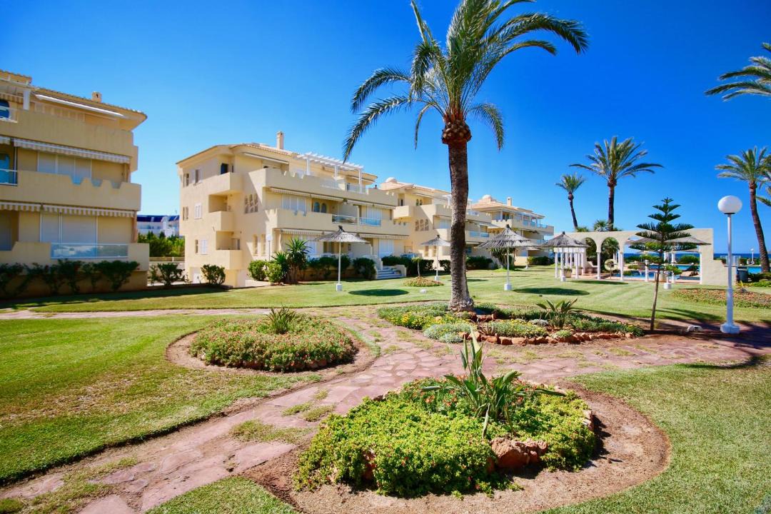 Photo of Others in El Palmar