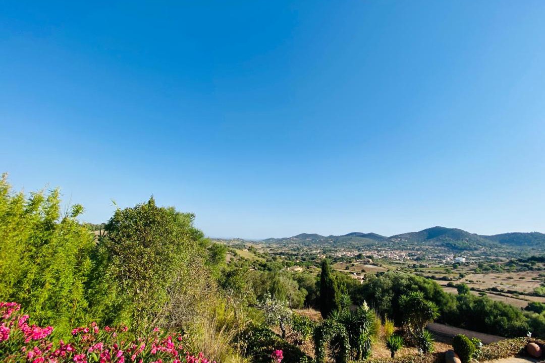 Photo of Outdoor in Son Macia