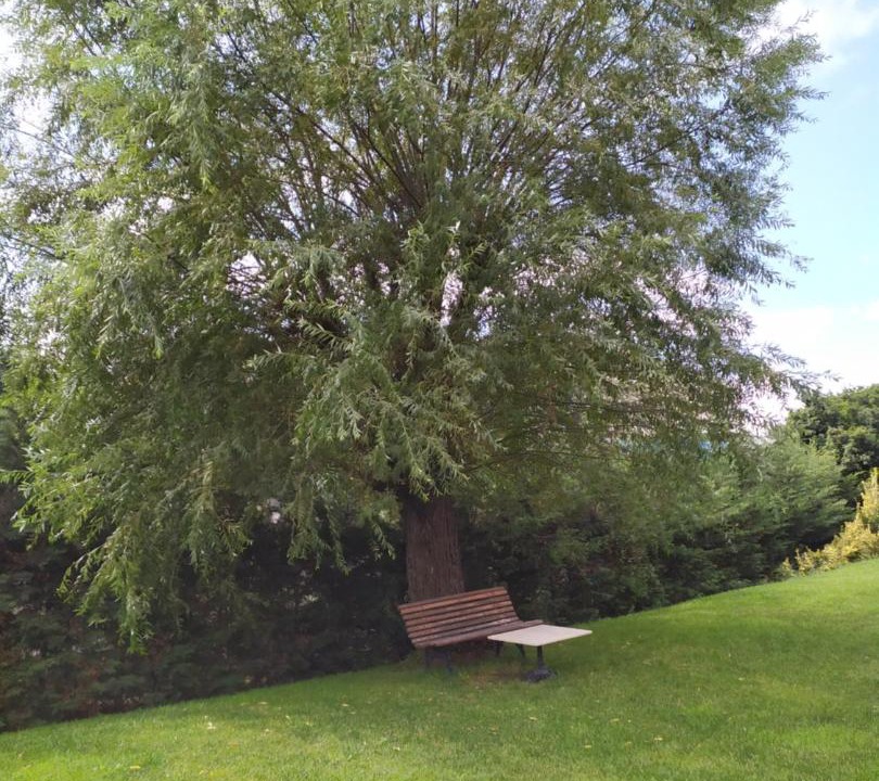 Photo of Outdoor in Bayrampasa