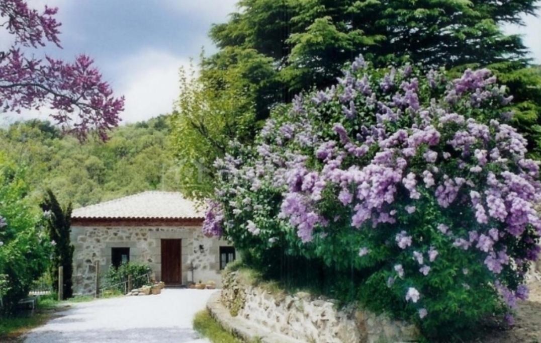 Photo of Buildings in Cercedilla