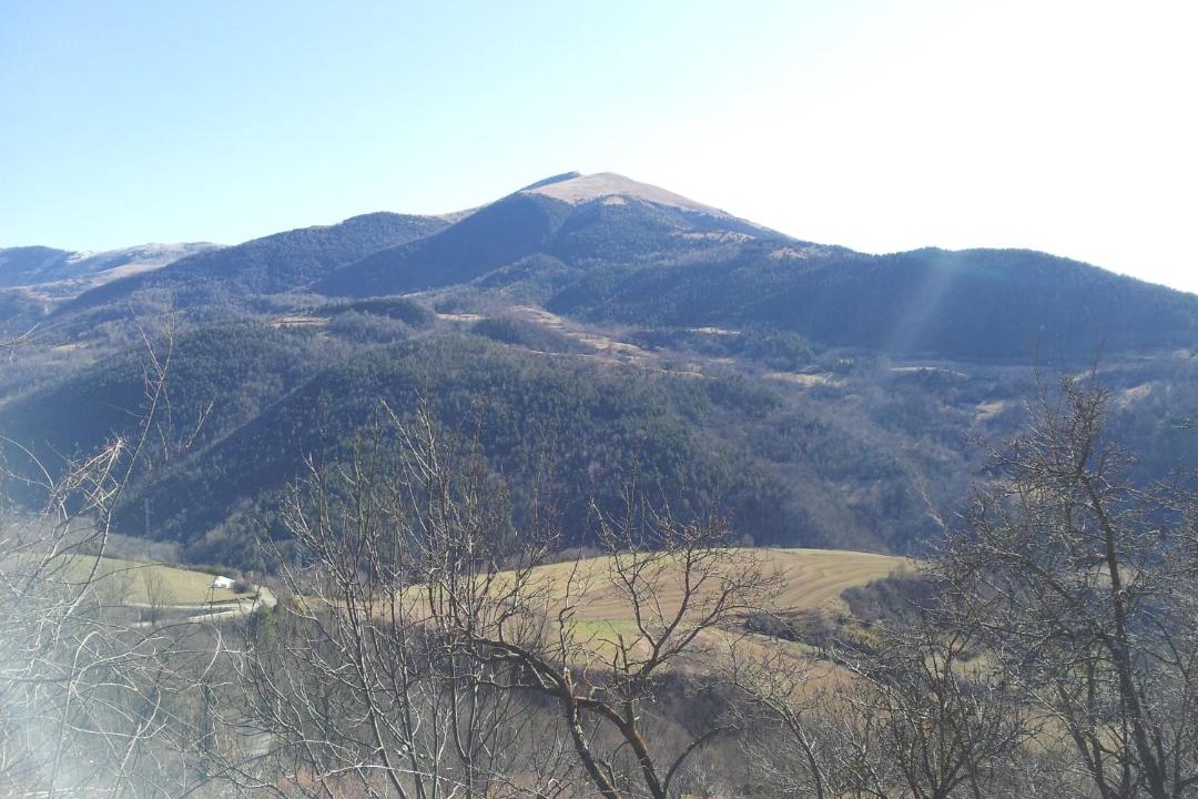 Photo of Outdoor in Ribes De Freser
