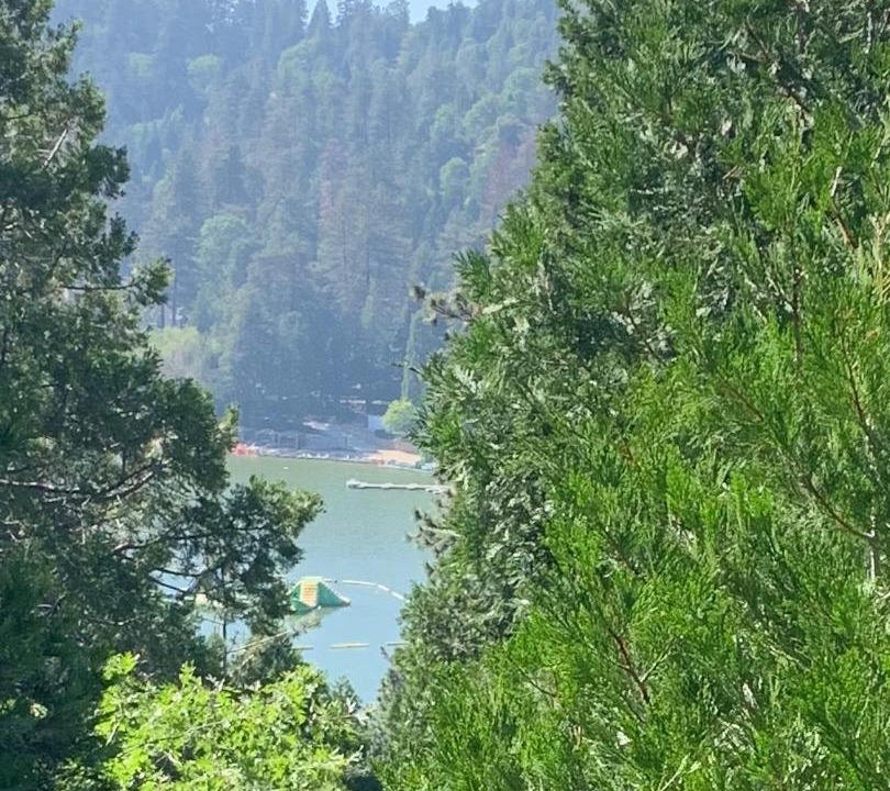 Photo of Others in Crestline