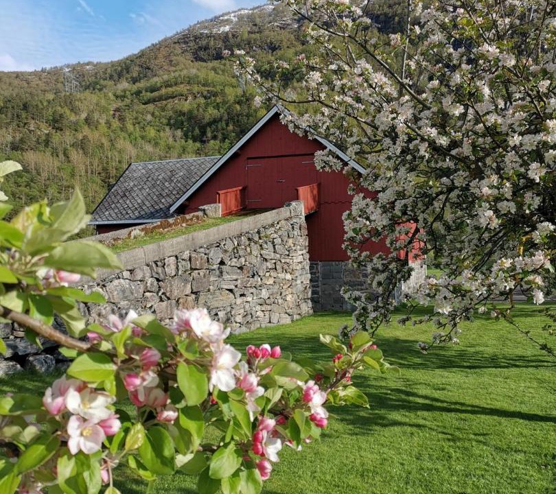 Photo of Others in Andalsnes