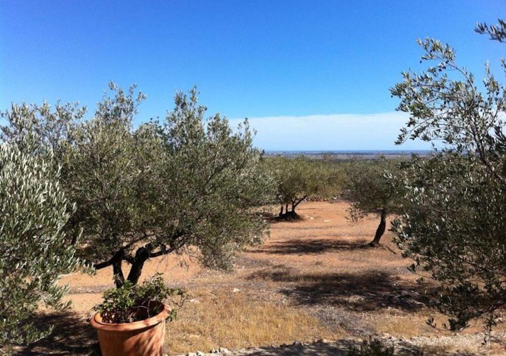 Photo of Outdoor in Tortosa