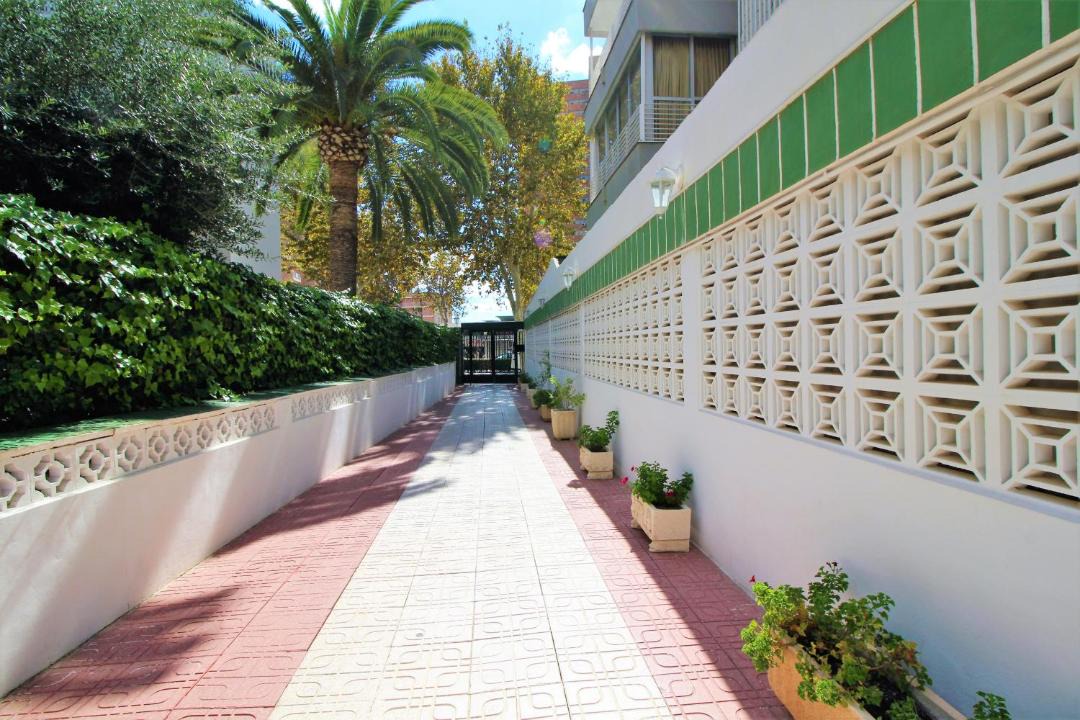 Photo of Others in Benidorm