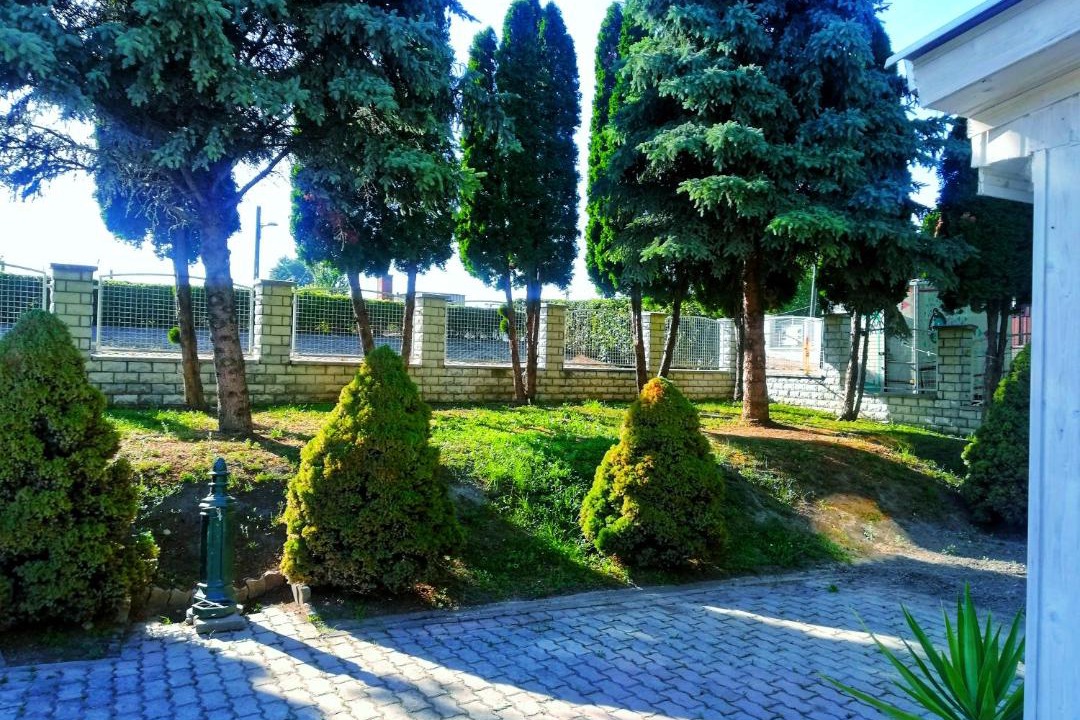 Photo of Others in Tass