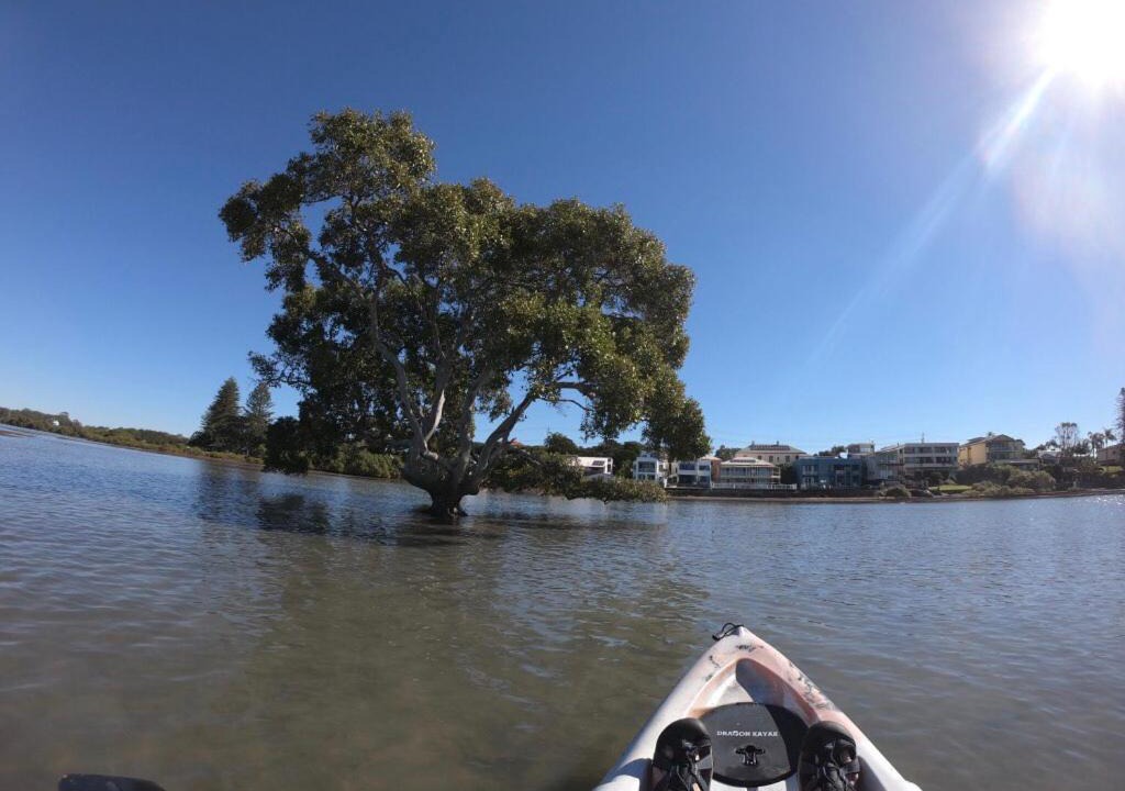 Photo of Others in Raby Bay