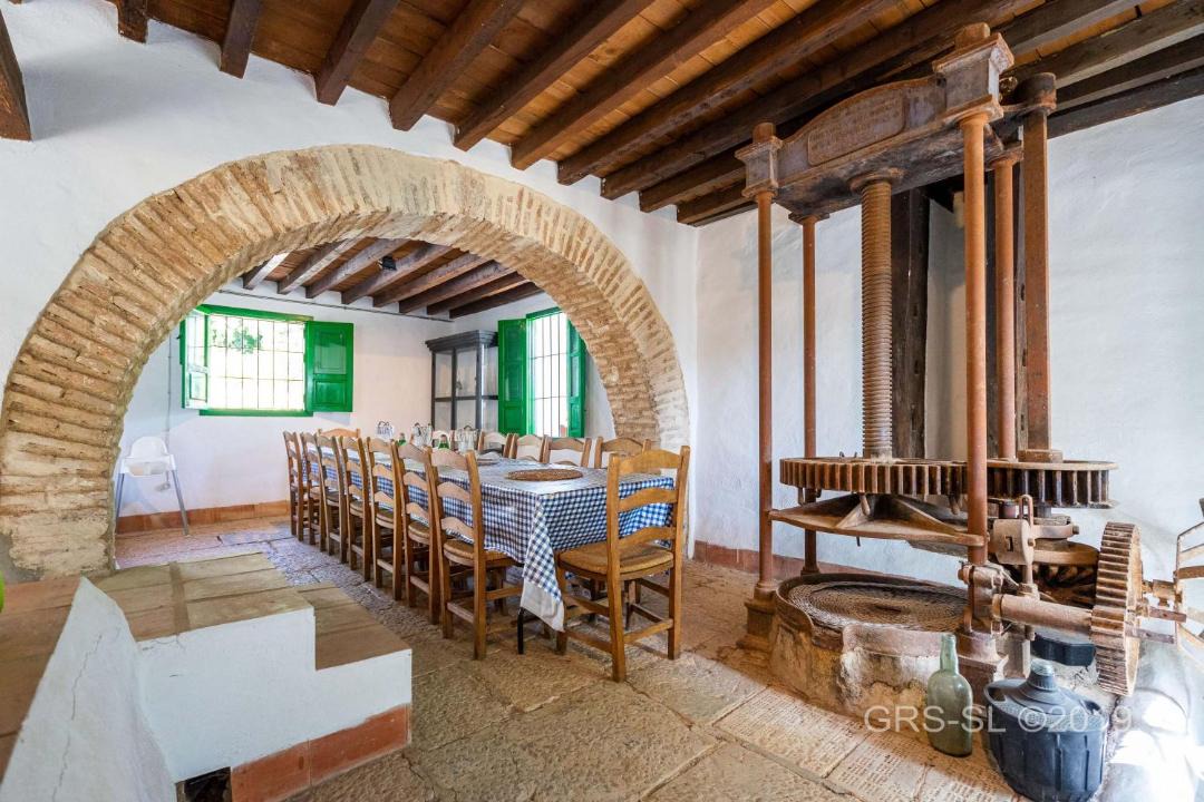 Photo of Livingroom in Olias