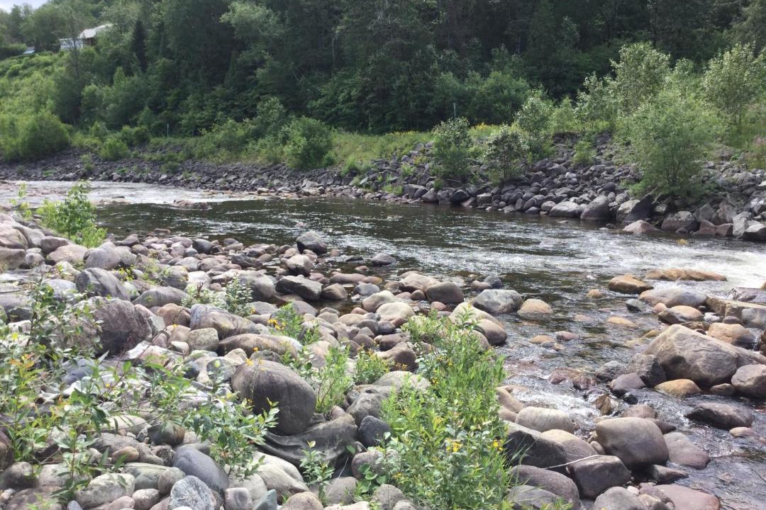 Photo of Others in L'Anse-Saint-Jean
