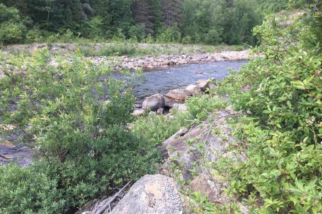 Photo of Others in L'Anse-Saint-Jean