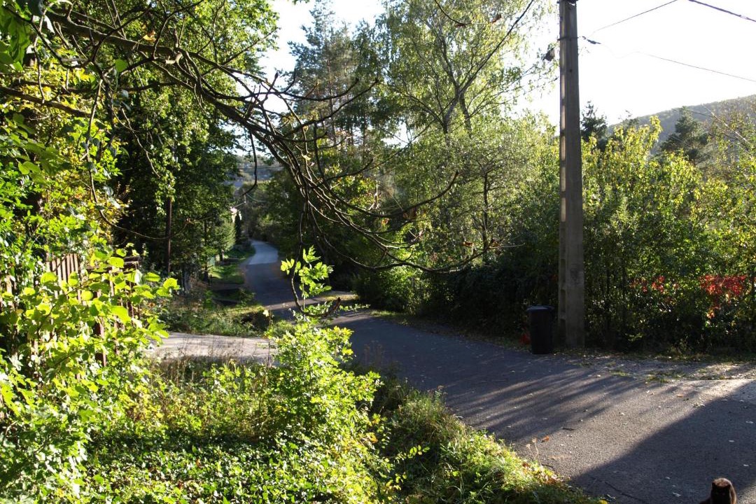 Photo of Outdoor in Szentendrei