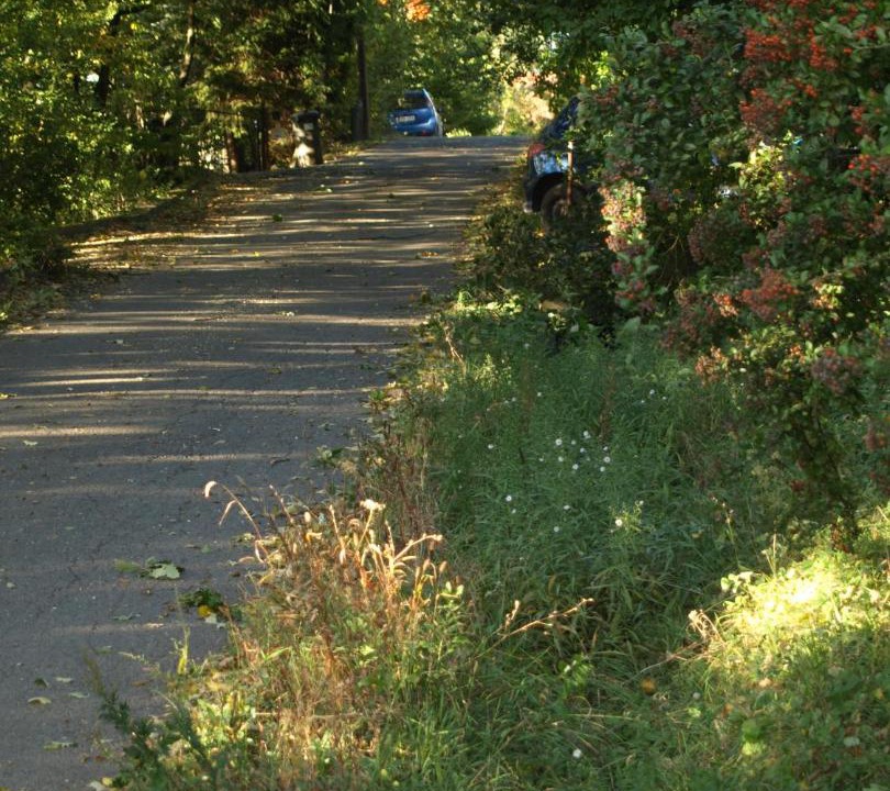 Photo of Outdoor in Szentendrei