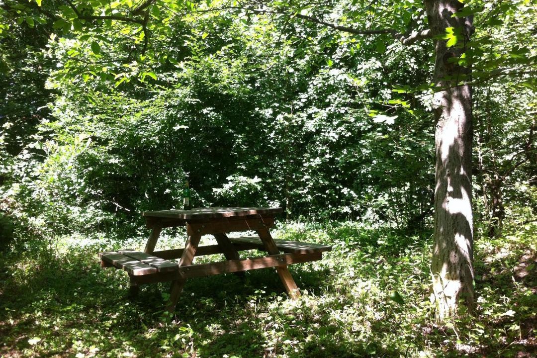 Photo of Outdoor in Szentendrei