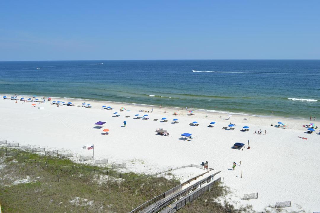 Photo of Others in Orange Beach