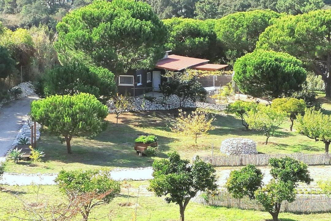 Photo of Others in Aldeia do Meco