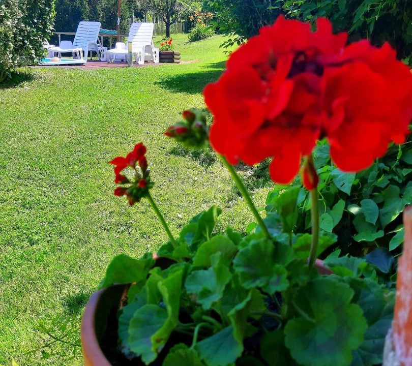Photo of Others in Vasvar