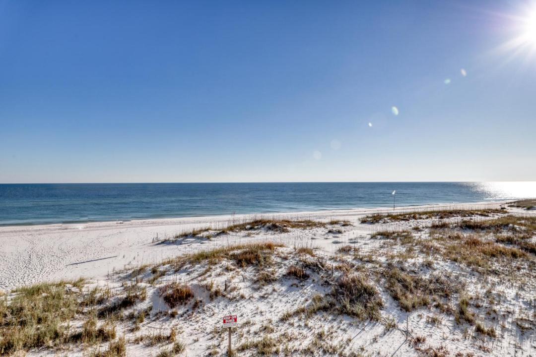 Photo of Others in Orange Beach