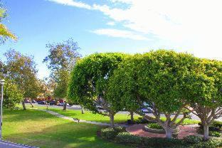Photo of Others in Old Towne