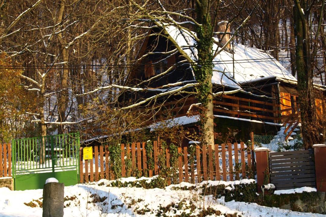 Photo of Others in Szentendrei