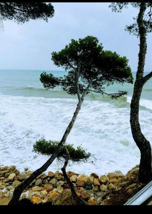 Photo of Outdoor in Miami Platja