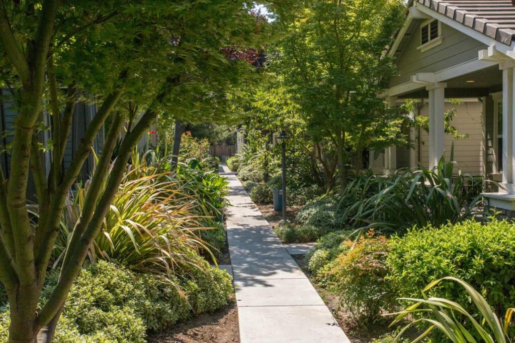 Photo of Others in San Jose
