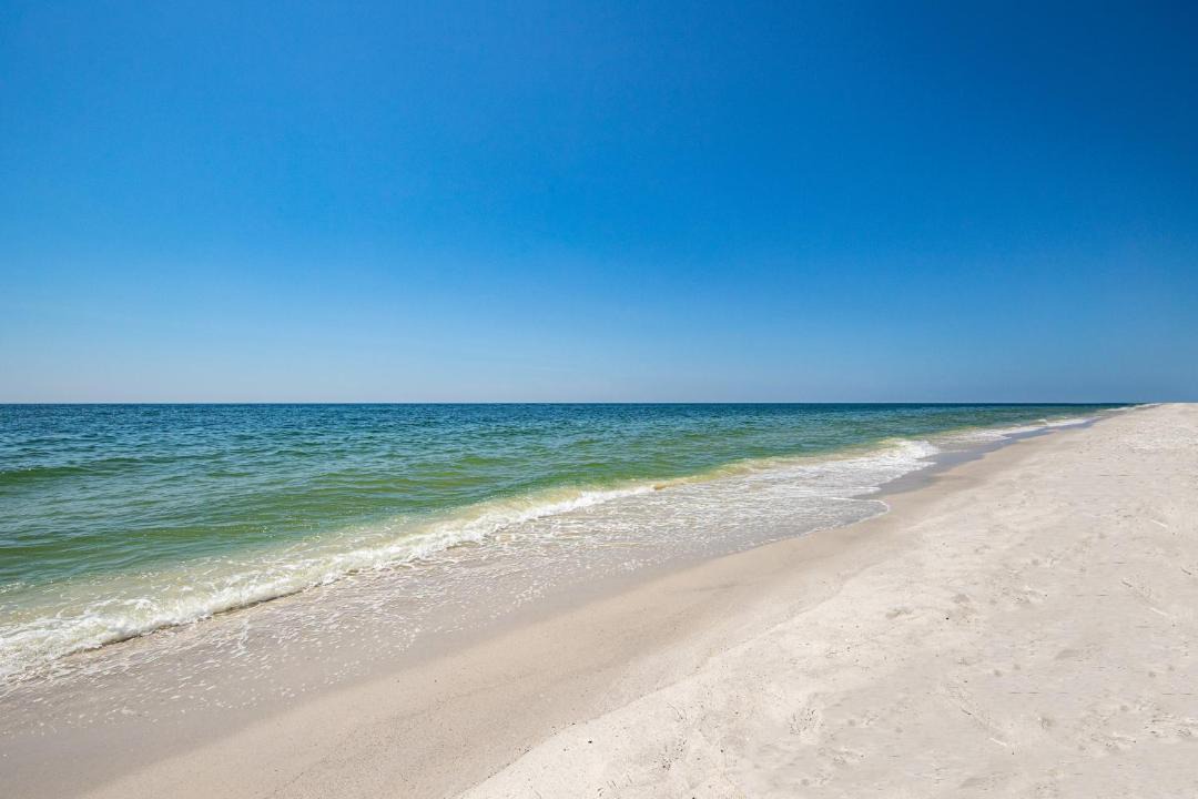 Photo of Others in Orange Beach