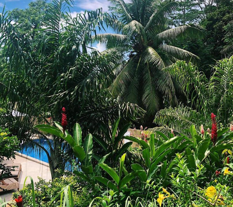 Photo of Others in Anse Boileau