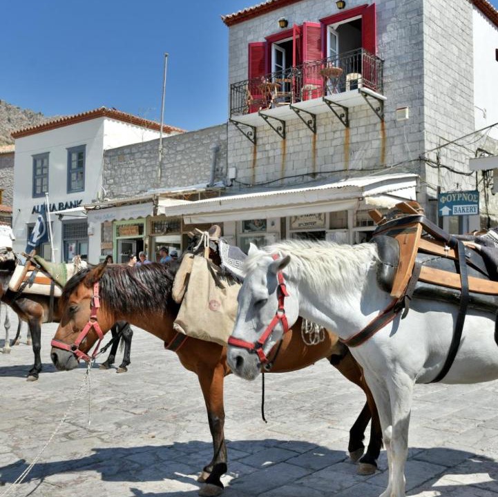 Photo of Others in Hydra