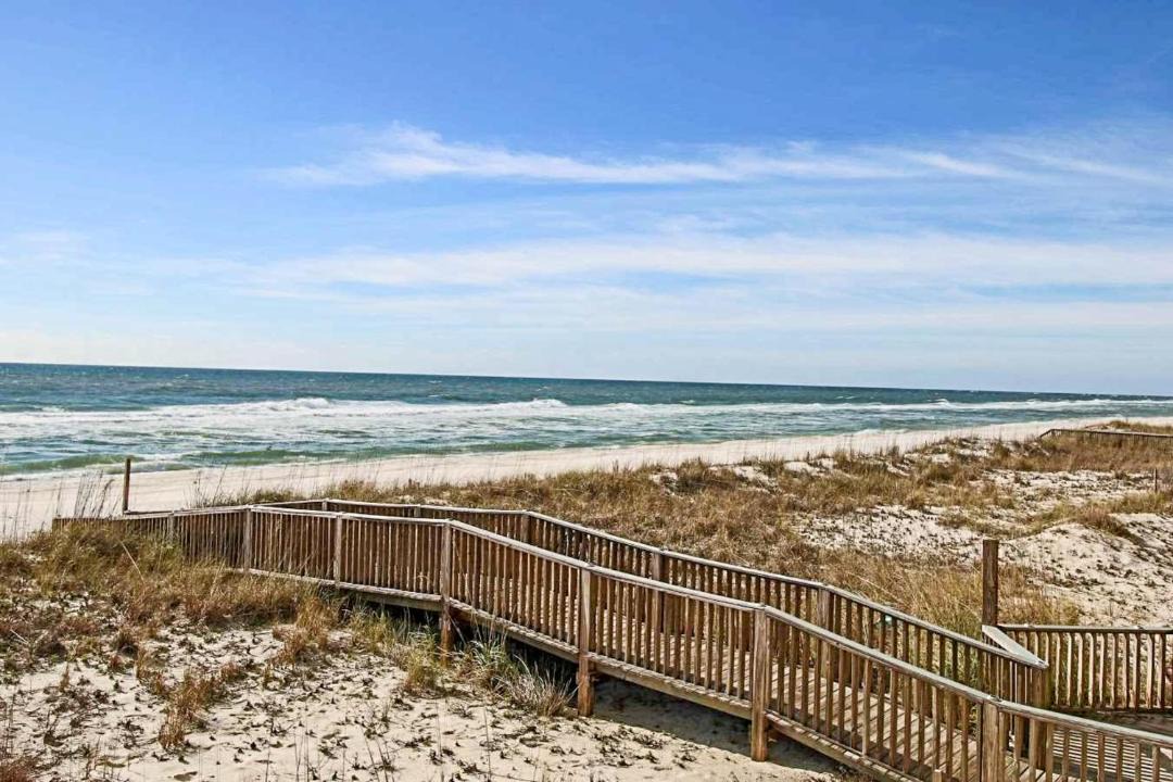 Photo of Others in Orange Beach East