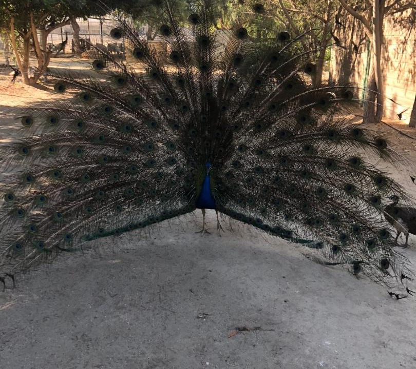 Photo of Others in Temecula