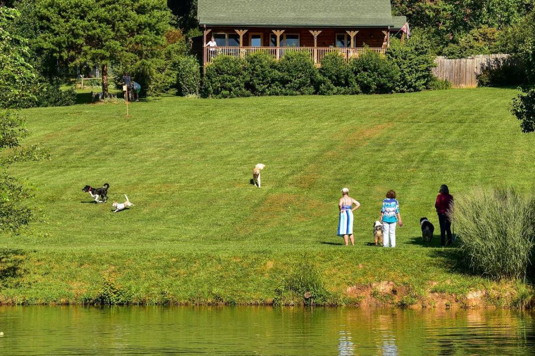 Photo of Others in Skyland