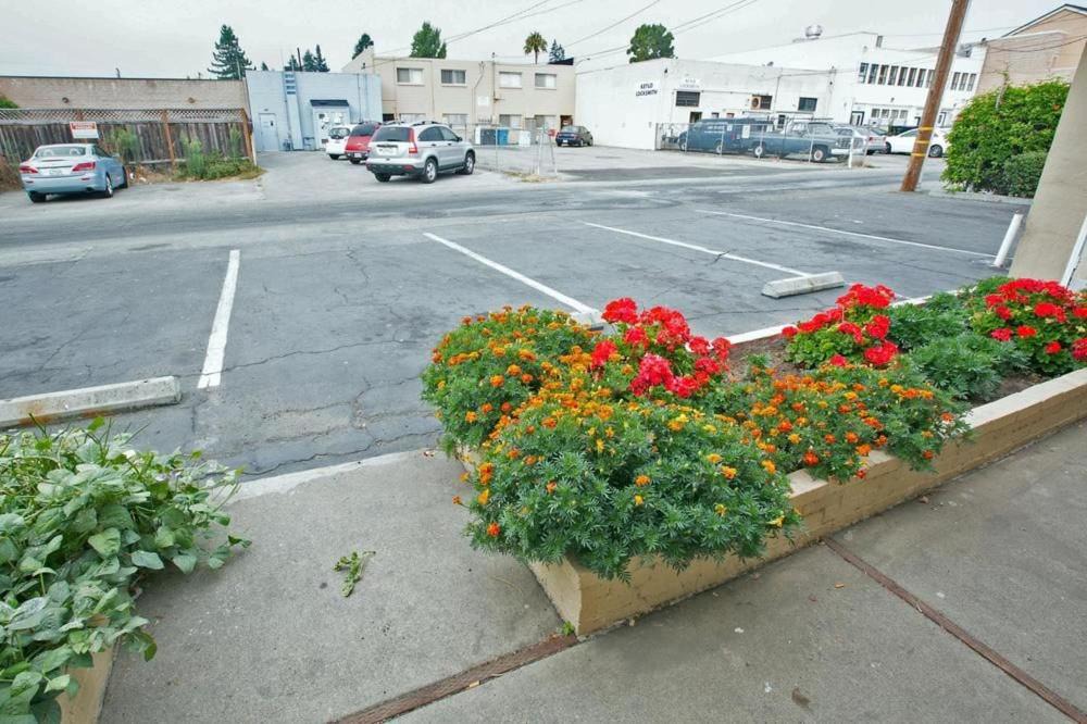 Photo of Buildings in San Carlos