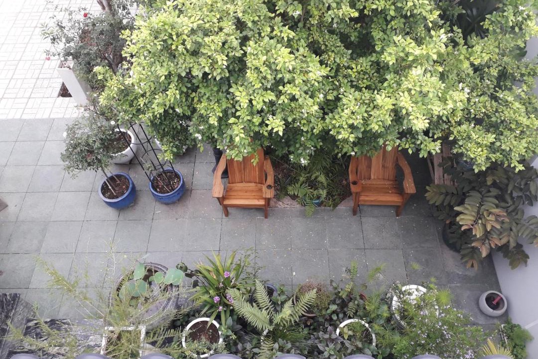 Photo of Others in Hoa Thanh