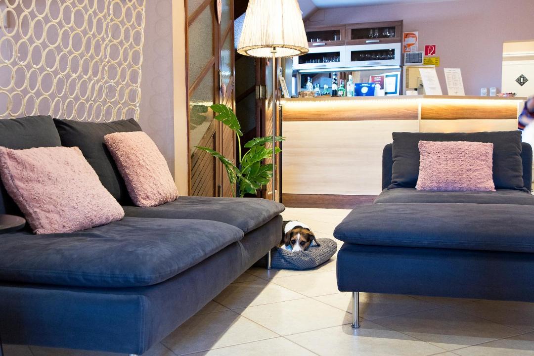 Photo of Livingroom in Orszagut