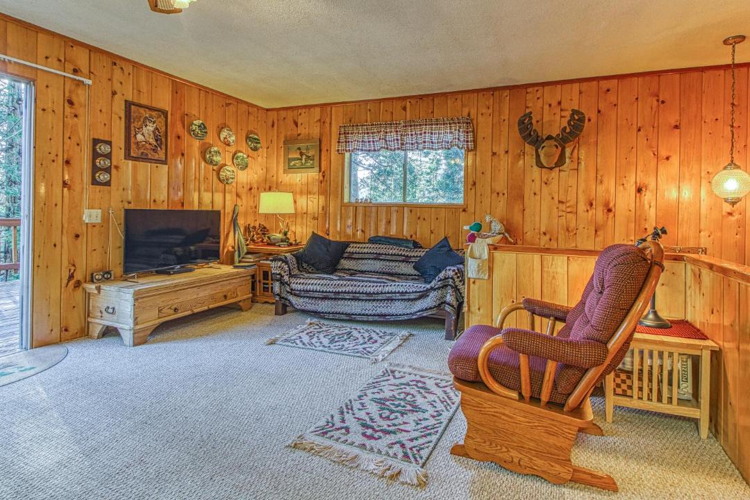 Photo of Livingroom in Idyllwild