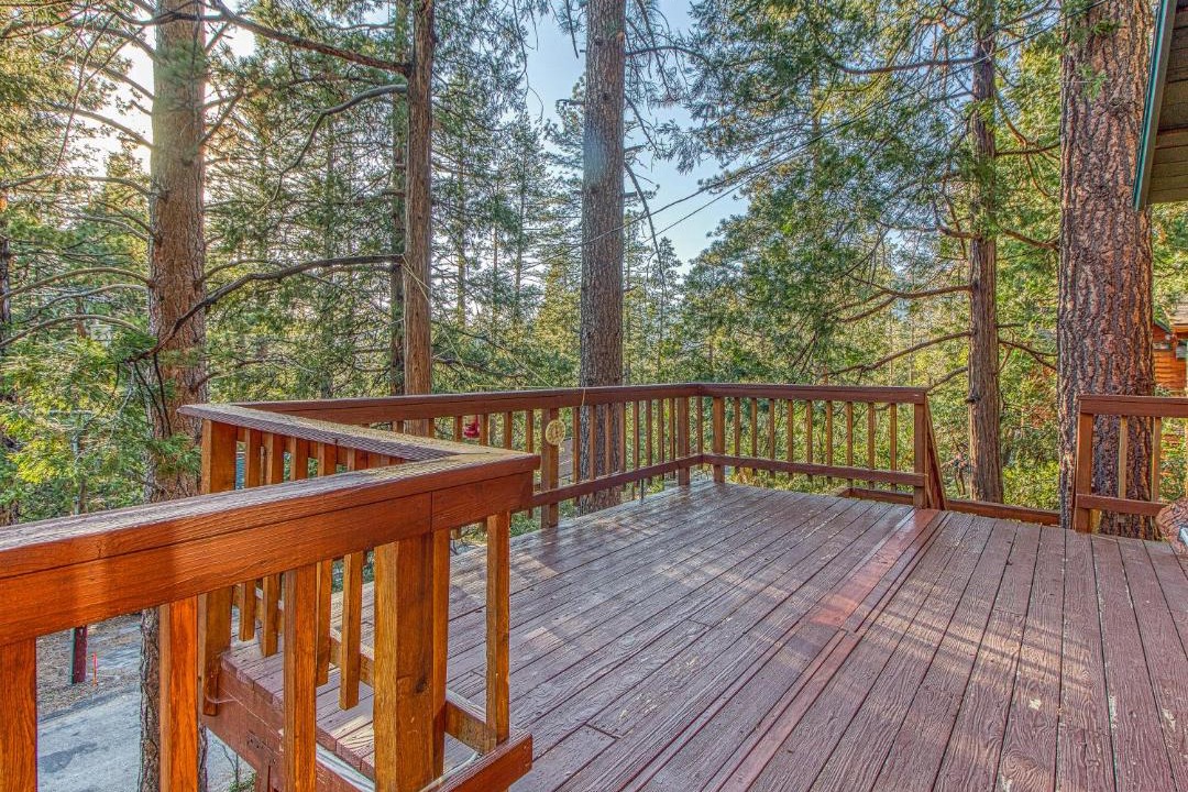 Photo of Others in Idyllwild