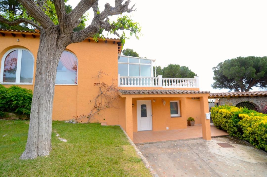 Photo of Buildings in Torroella de Montgri