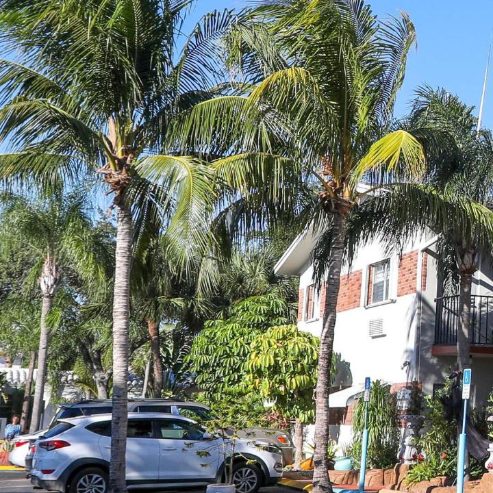 Photo of Others in Hollywood Lakes