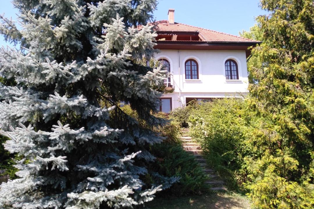 Photo of Buildings in Szentendrei